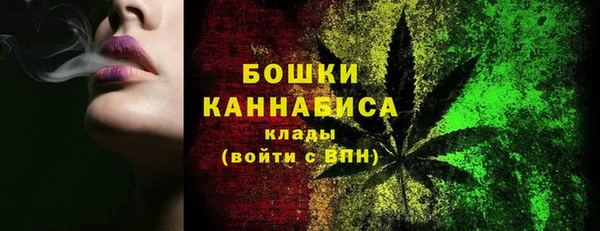 дживик Надым