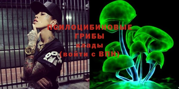 стафф Абинск