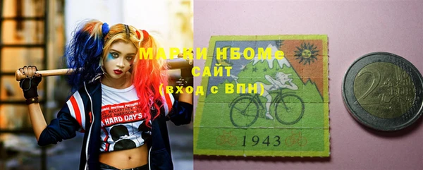 дживик Надым