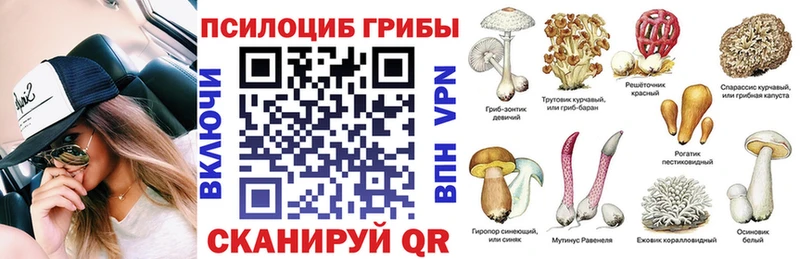 MEGA вход  Алексин  Псилоцибиновые грибы прущие грибы 
